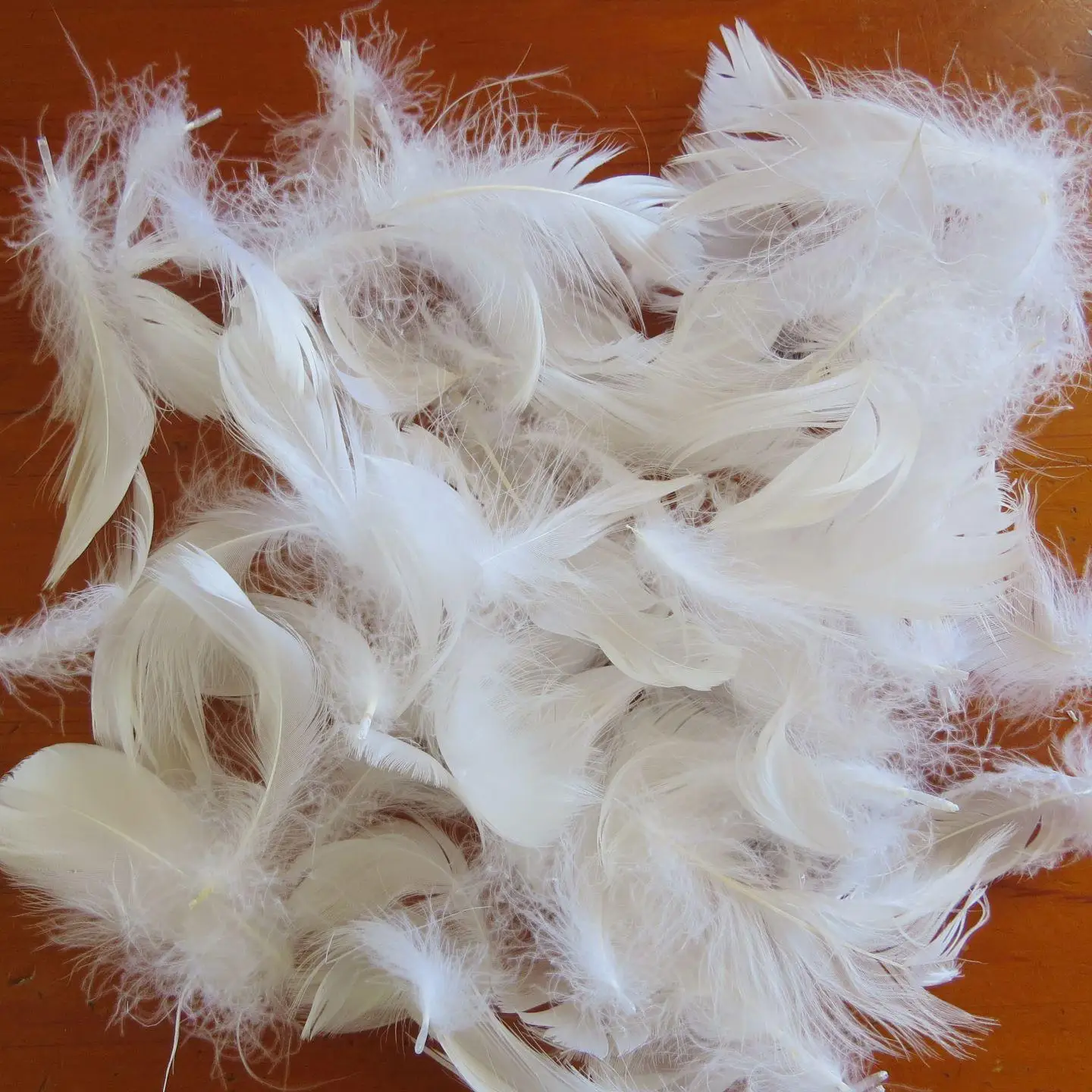 100% Natural Bulk White Goose Feather Fill Stuffing Make Your Own Pillow,Comforter,Toy,Jacket,Sofa-Sample