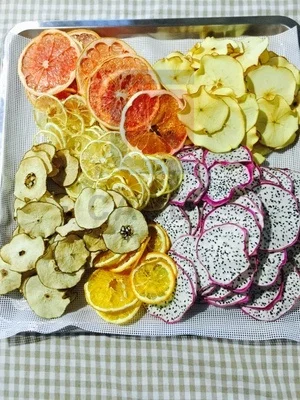 10 Trays Home Small Scale Portable Metal Food Dryer Fruits Dehydrator Paste Noodles Drying Machine