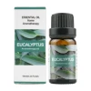 eucalyptus