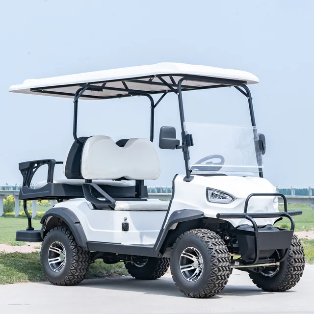 4 Seat Electric Golf Carts Cheap Prices Buggy Car for Sale Chinese Mini Price Street Legal pink Single Golf Cart