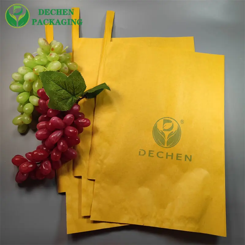 Grapes Protection Paper Bag Peru Callao Paita