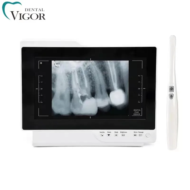 Digital Intraoral Endoscopy Camera With Monitor for Dental Chair Dental Inter Oral Endoscopy