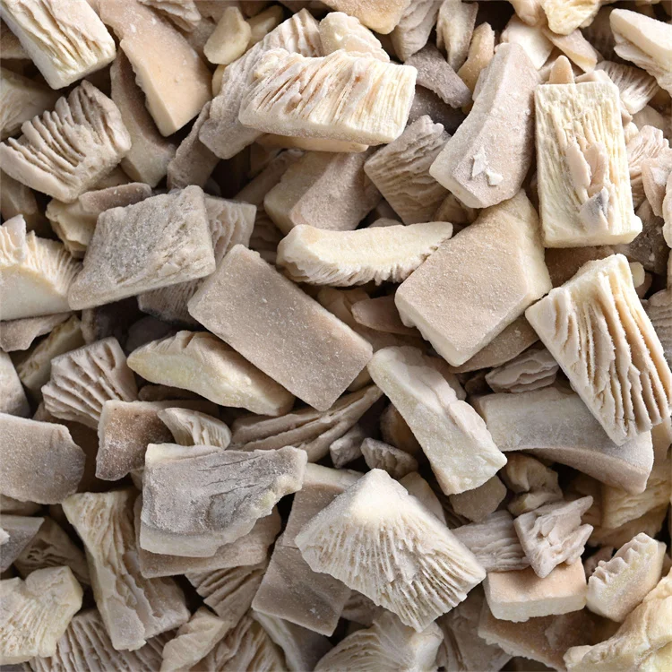 2025 China Supplier Export IQF Vegetables Frozen oyster Mushroom With Good Price