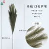 Single 13-haired reed, green