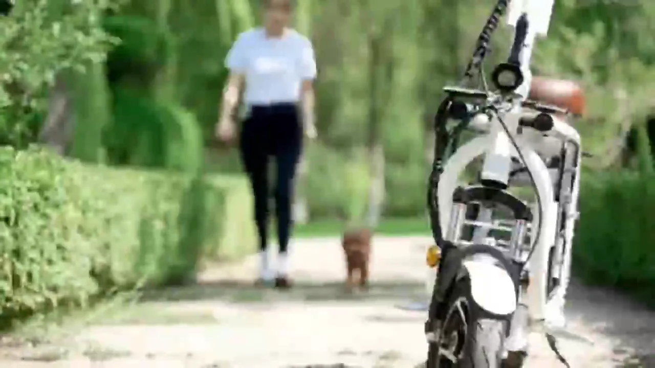 2023 Mobility Pet Storage Electric Scooter Folding E Bike Pet Scooter