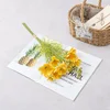ramo amarillo