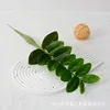 Hoja de dinero de 14 hojas - 56cm