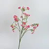 Rose madder