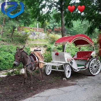 人格子供赤カボチャ馬車/中国サプライヤーパワーホイール馬車