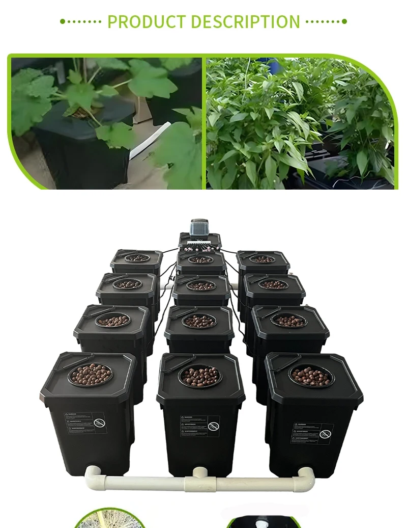 Rdwc With Drip Irrigation 12 Buckets Recirculating Hydroponic System ...