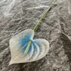 Blue white