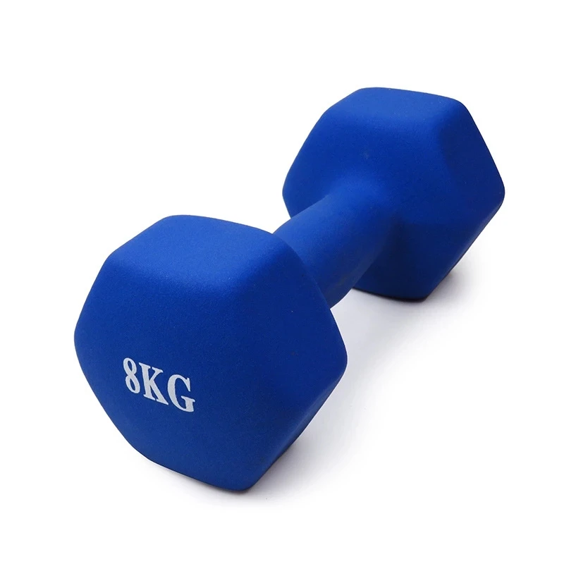 Cheapest Dumbbells 4kg Portable Weightlifting Equipment