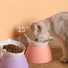 Pink high-legged pet bowl