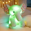 Piccolo elefante luminoso