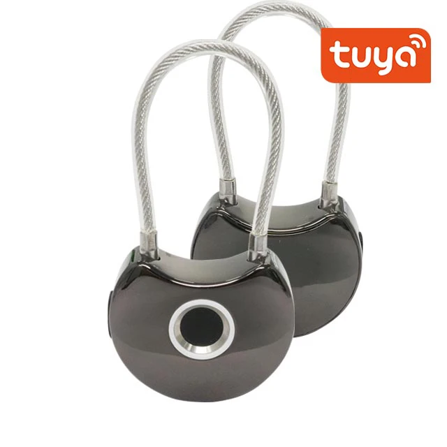 diary padlock