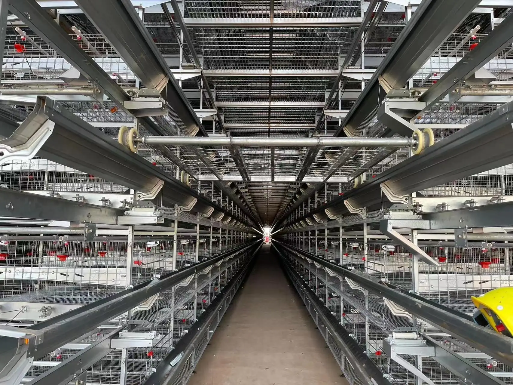High Cost Performance and High Efficiency of Layered Layer Breeding System and Equipment