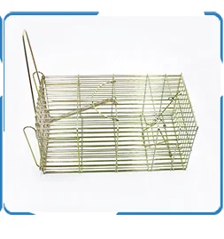 Mouse Catch (5).png