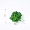 No. 5 stir-fried broccoli