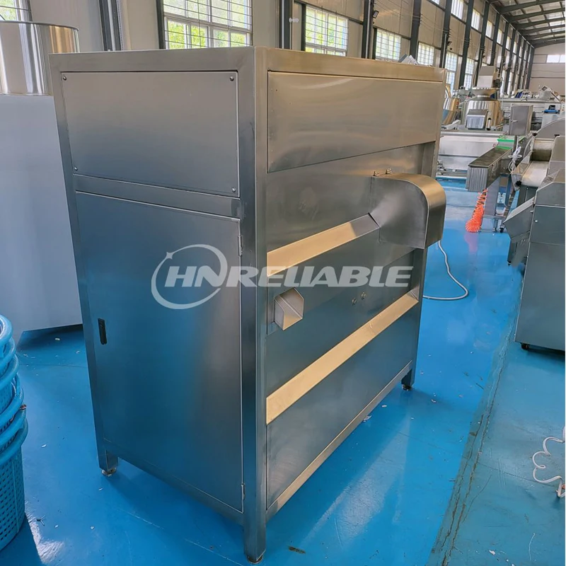 Small Onion Peel Skinner Machines Onion Skin Peeler Supplier Automatic Onion Peeling Machine for Sale