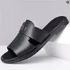 colorful 25222 Black