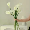 สีขาว