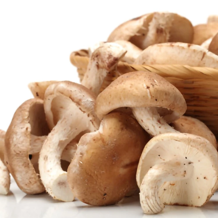 Precise Application Seasoned Good Taste Wild Magic Mushroom Dry Shiitake Slices For Household Daily Eating Food