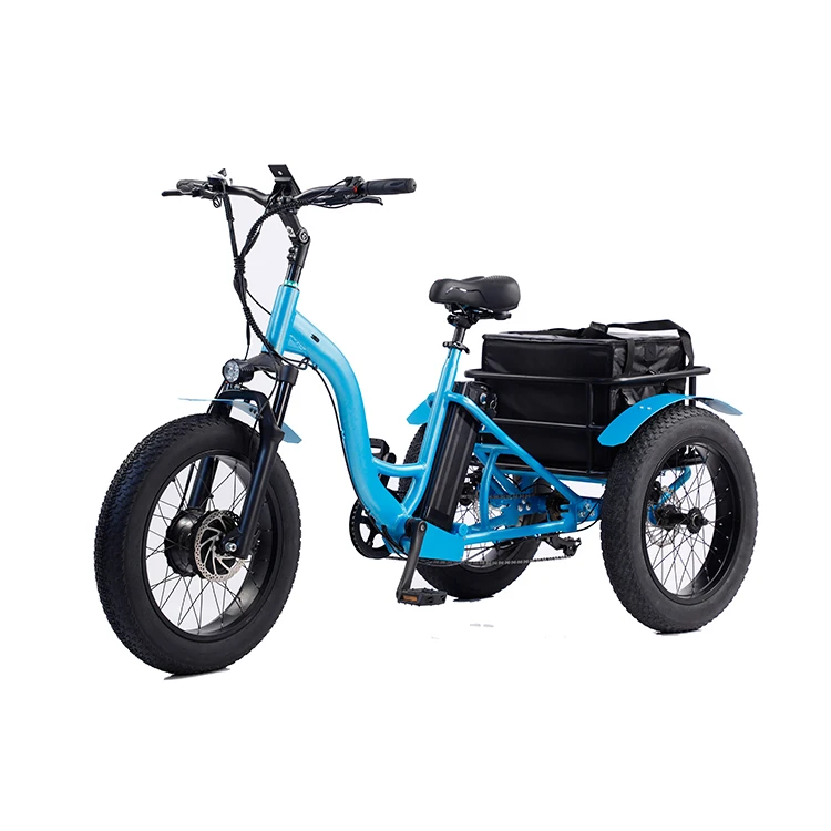 Tricycle Reverse Trike Electric Scooter