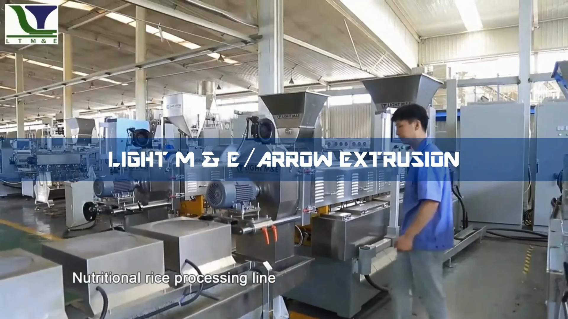 Artificial Fortified Rice Kernels Manufacturing Plant Extrusion Line ...