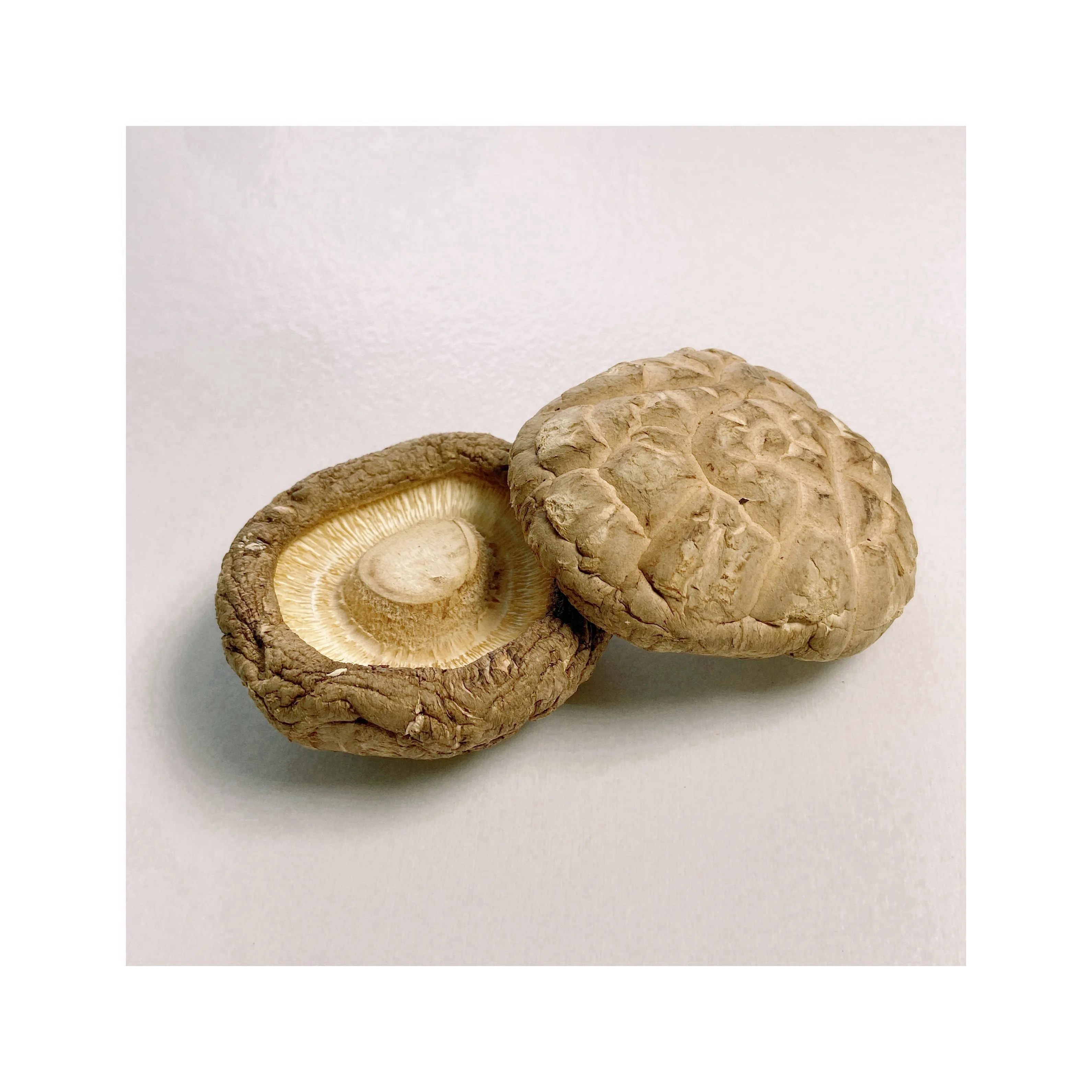 Хит продаж, сушеные грибы Хуа премиум-класса, сушеные грибы шиитаке Fungo