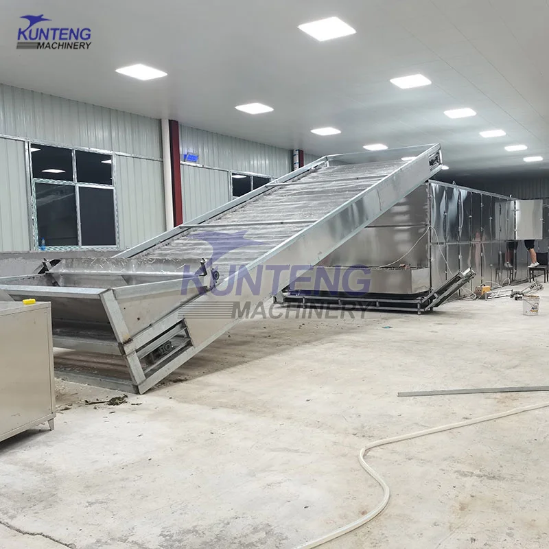 Fully Automatic Processing Line for Sea Cucumber Food Bombay Duck Anchovy Dried Fish Shrimp Drying and Packing Machine Dryer