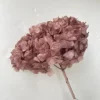 caramello
