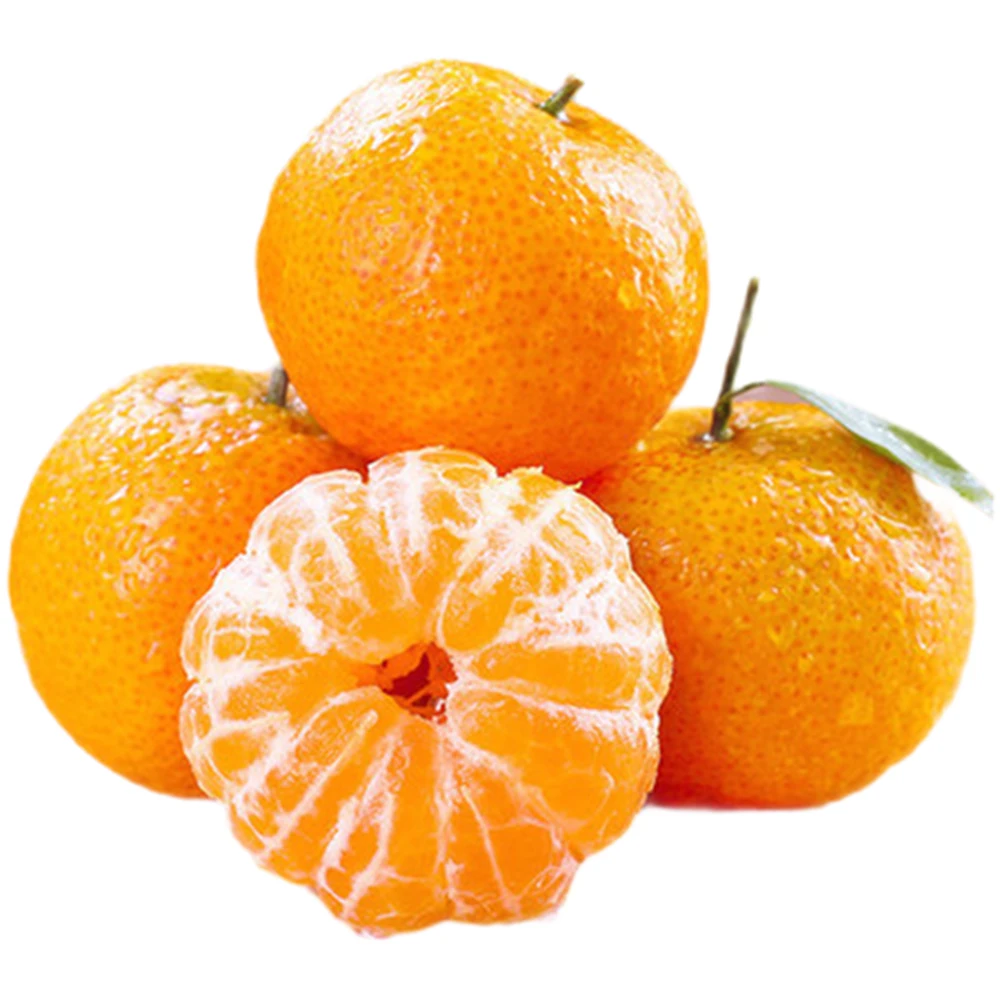 Fresh Organic Mandarin Orange Fresh Sweet Citrus Fruits Nanfeng Orange Baby Mandarin Oranges Direct Wholesale Export From China