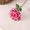 Rosa palo, un tallo.