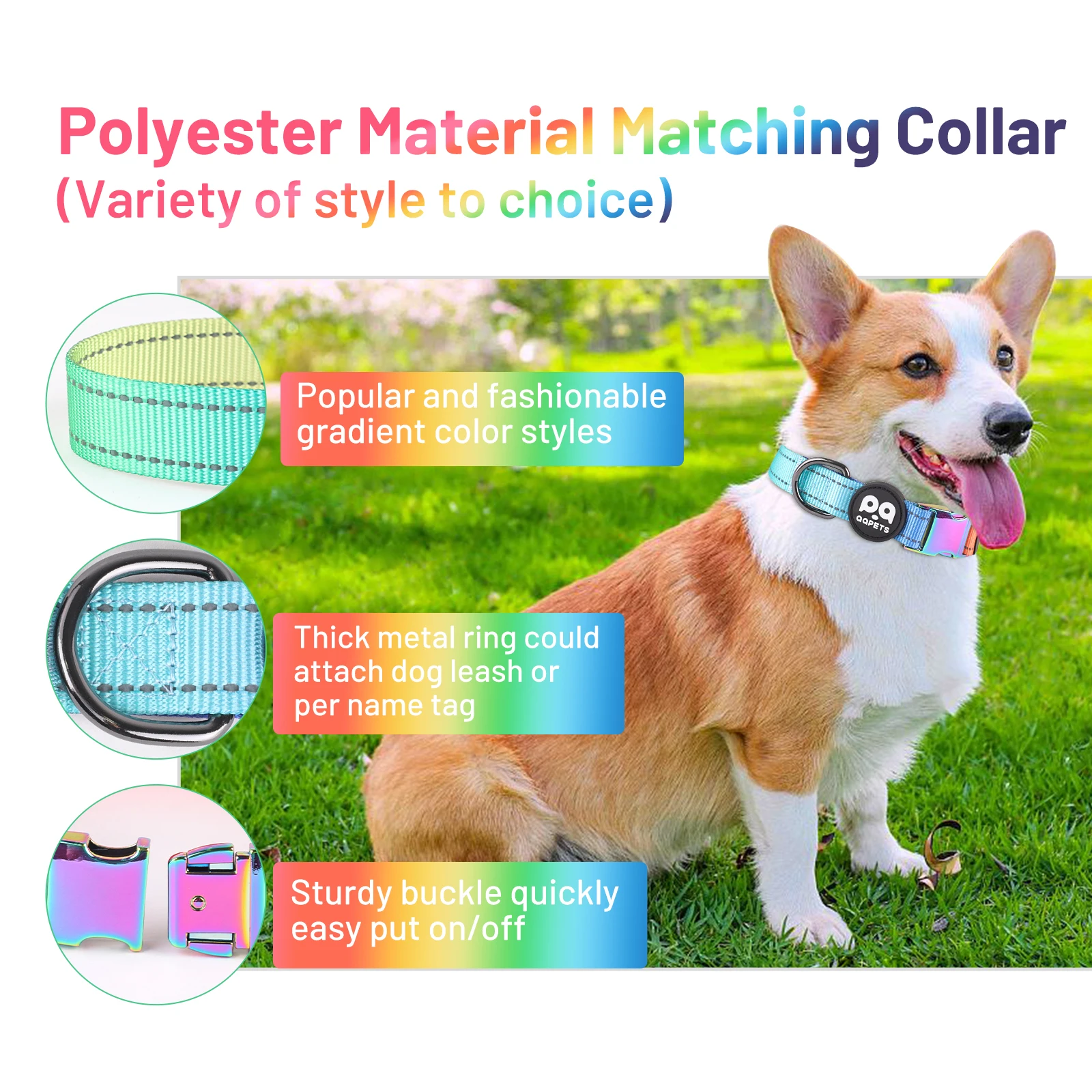 2024 Popular Luxury Designer Custom Dog Collar Metal Buckle Hardware Personalized Sublimation