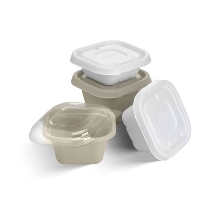 Custom Disposable Sugarcane Cardboard Bento Box Fast Food Container