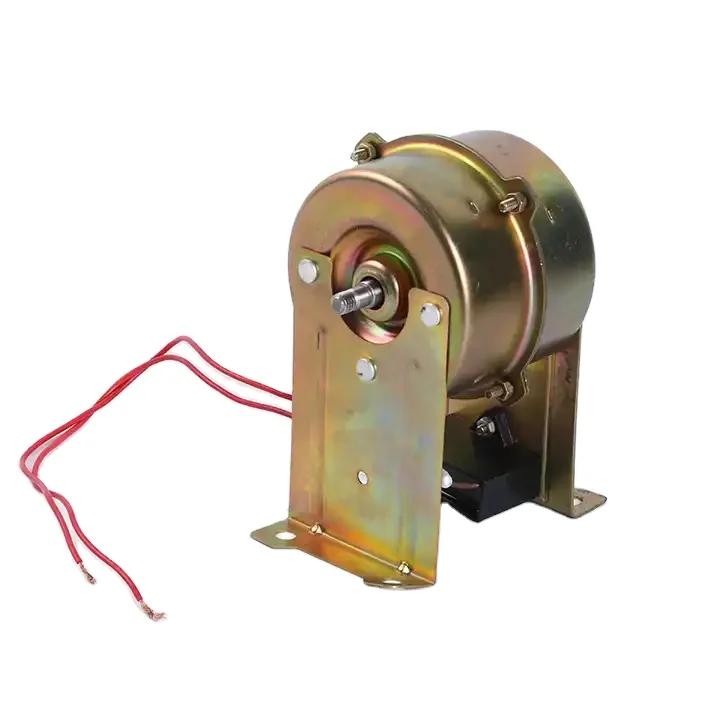 Tianzhu Factory Made Good Quality Favorable Price Electric AC 220V Shoe Polishing Motor