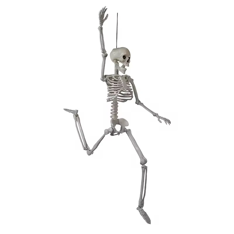Creepy Joints Pos Ablebones Human Realistic Full Body Life Size Plastic Prop Halloween Skeleton for Indoor and Outdoor