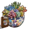 KFT006 Piggy Bank Model L