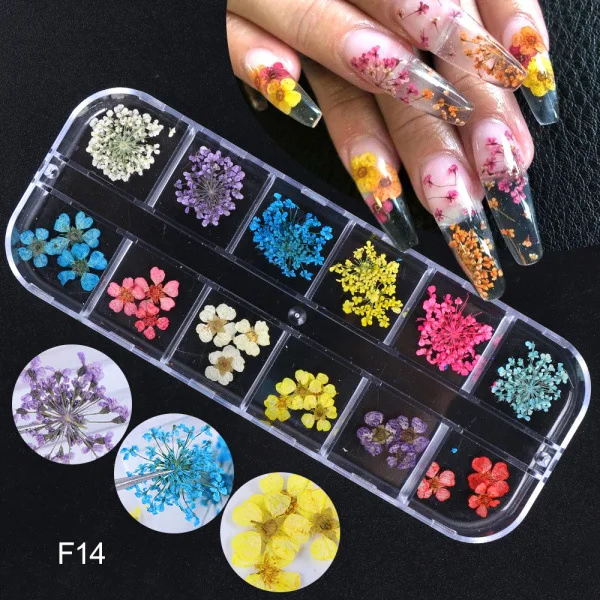 Fleurs Séchées Pour Nail Art | Matériel Pour Décoration Des Ongles