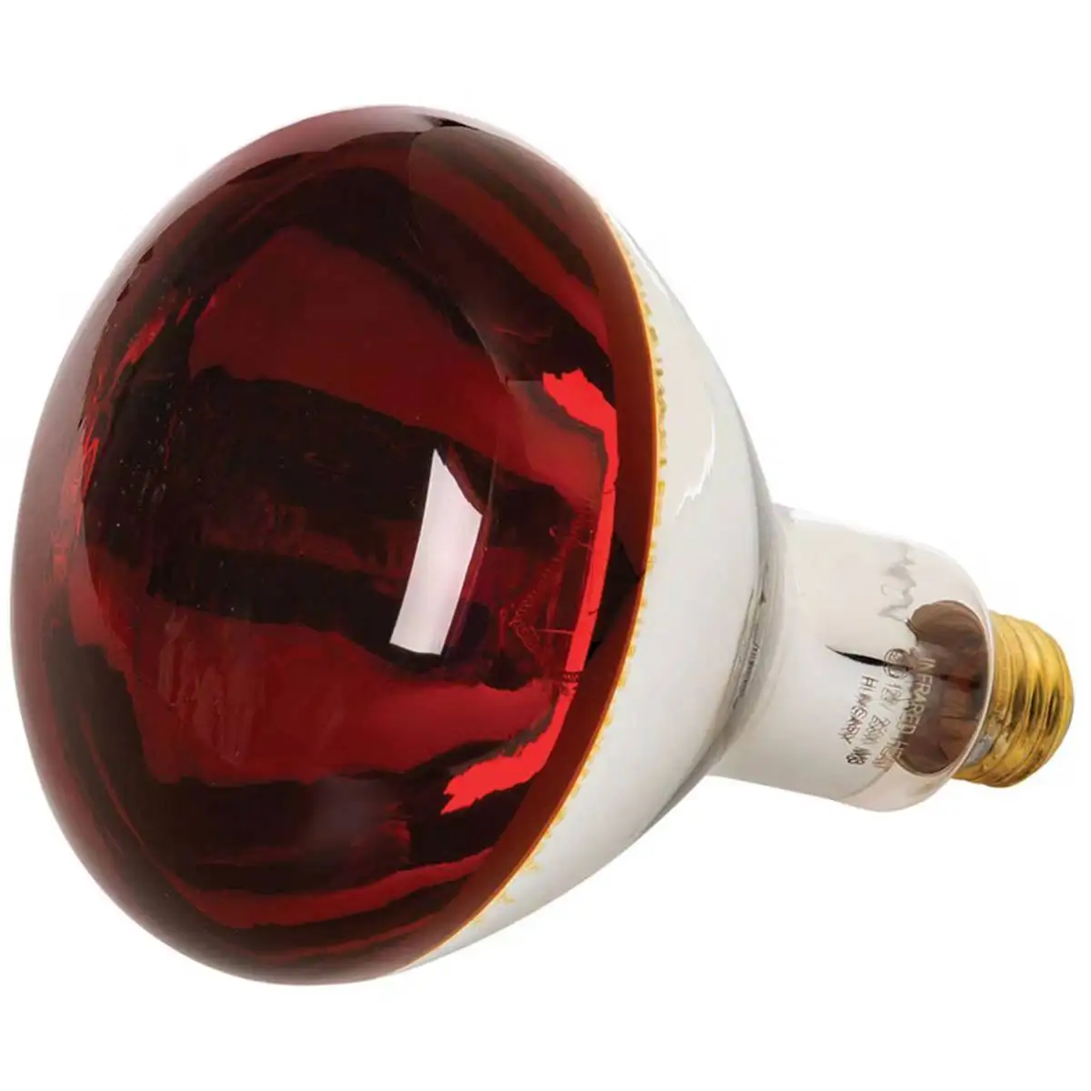 Лампочка для обогрева. Лампа инфракрасная FL-ir r125 250w Red e27 230v красное стекло. Лампа инфракрасная Lightbest Erk r125 175w. Инфракрасная лампа 150 Вт. Инфракрасная лампа для обогрева брудера 175 ватт.