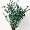 Verde dell'esercito