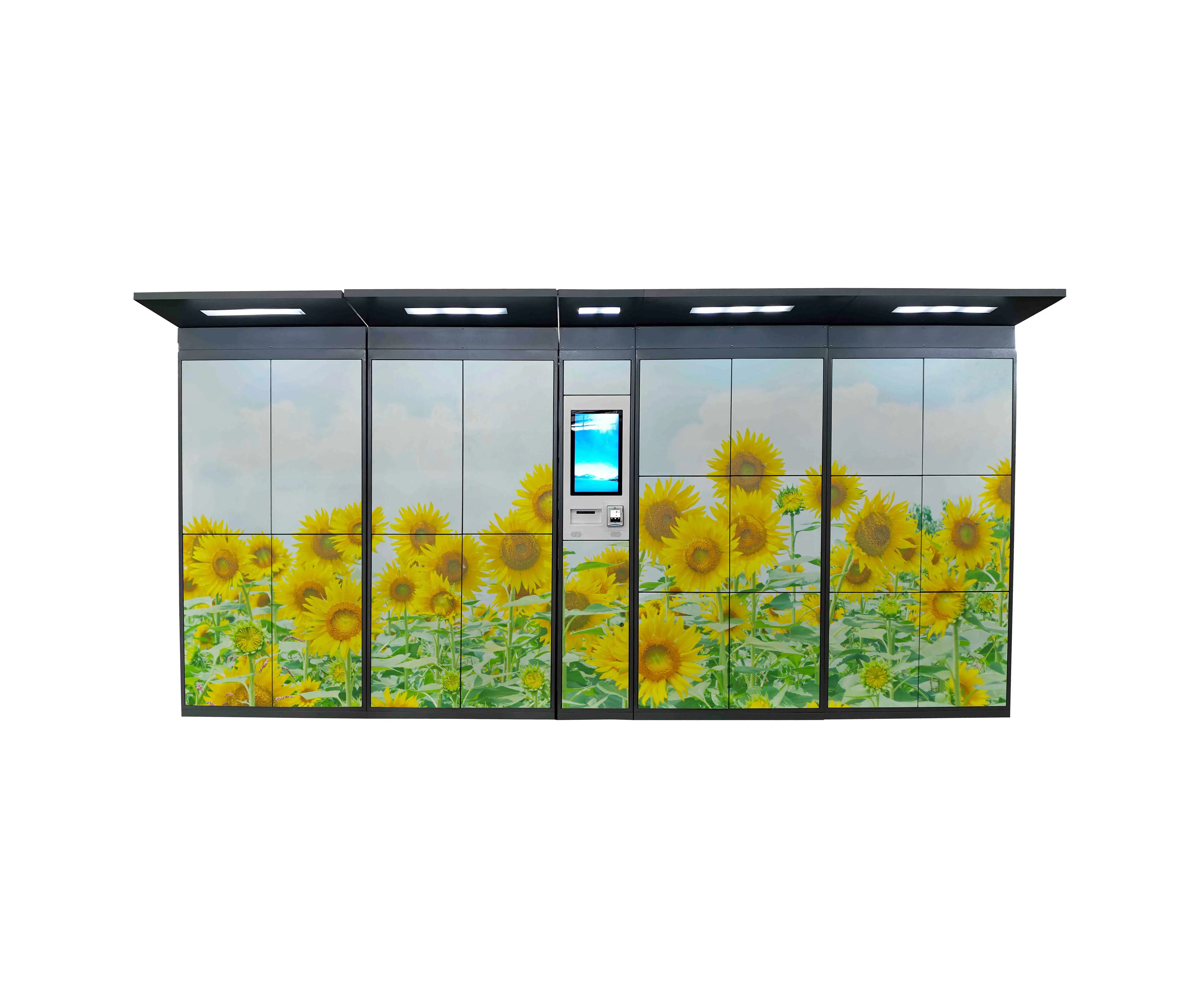 Winnsen Intelligent Parcel Delivery Locker with Remote Manage System for Public Place Indoor Use Automatic Self Service