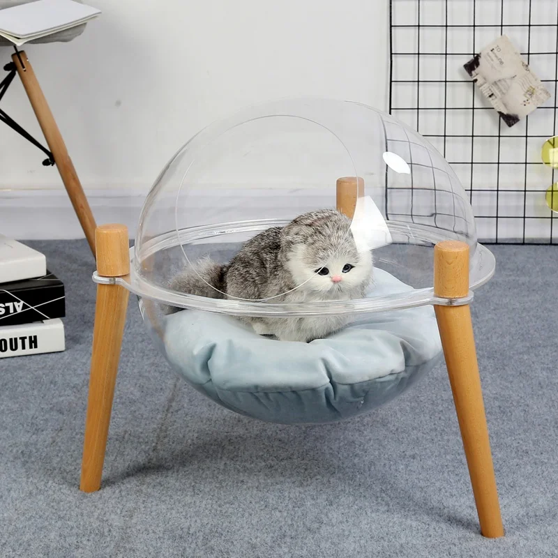 Tempat Tidur Kucing Kayu Mewah Transparan Tempat Tidur Hewan Peliharaan Akrilik Dengan Alas Lembut 2020 Buy Kapsul Ruang Angkasa Kucing Tempat Tidur Tempat Tidur Kucing Kayu Transparan Tempat Tidur Kucing Product On