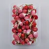 Fragola rossa (circa 10 grammi)