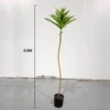 Artificial Single Stem Dracaena Plant with Pot (0.8M)
