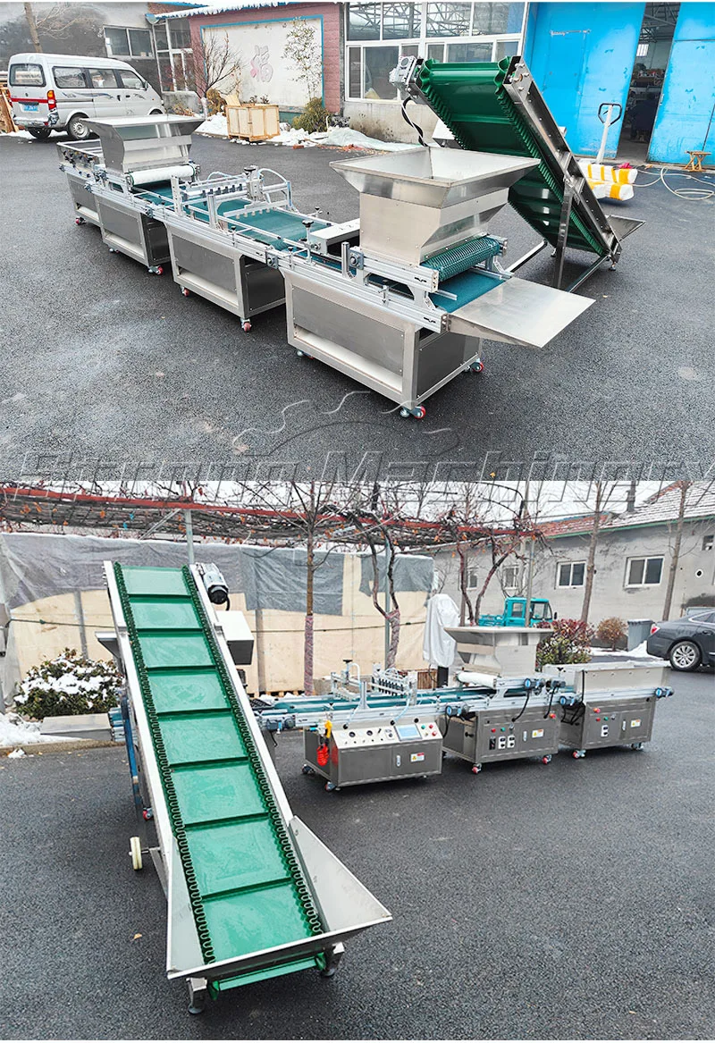 Automatic Rice Seedling Tray Planting Machine