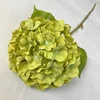 fruit green