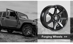 OEM Замена 20 21 дюймов колесные диски мульти спицами алюминиевые