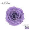 Lavanda