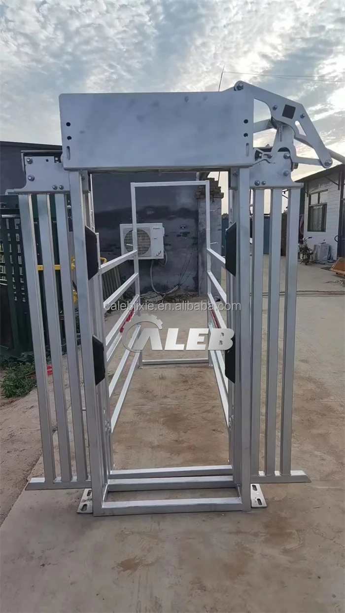 Cattle Squeeze Chute Stock Yard Cattle Handler Buy Hot Dipped Galvanized Heavy Duty Parallel